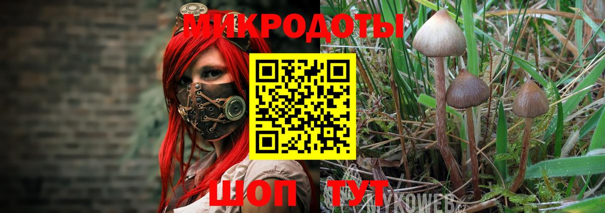 Галлюциногенные грибы Cubensis Краснокамск